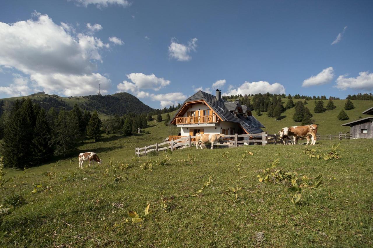 Apartment Jezerca - Krvavec แซเคลียนาโกเรนสเคม ภายนอก รูปภาพ